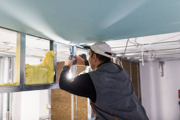 Best Insulation Maintenance and Repair in Portage Lakes, OH